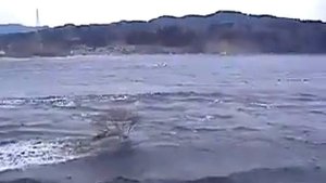 Цунами в Японии, видео очевидцев. Часть 1