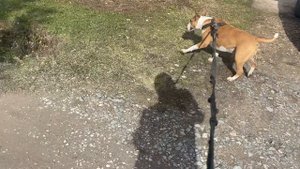 Веселье потому что весна Bublikbul43