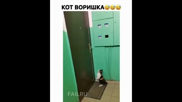 ЛУЧШИЕ ПРИКОЛЫ 2021 до слез угар  ржака приколюха 10 МИНУТ смеха Я РЖАЛ ДО СЛЕЗ апрель-ПРИКОЛЮХА