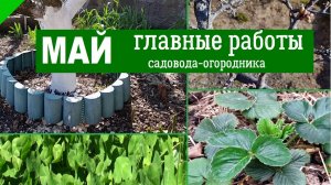 Что посадить в мае — план посадок на майские праздники и выходные