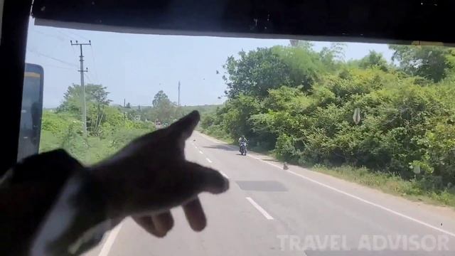 🚌 APSRTC SAPTHAGIRI EXPRESS TRAVEL VLOG | Chennai To Tirumala Straight Bus Journey | Travel Advisor смотреть онлайн