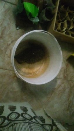VID_20250422_210328