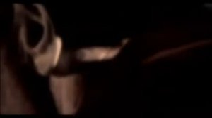 E Nomine - Laetitia⧸Happiness (Official music video + lyrics english)