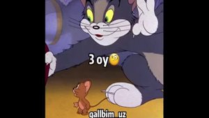 Кизикарли Сухбатлар 😁#QOLBOLA_DUBLYAJ