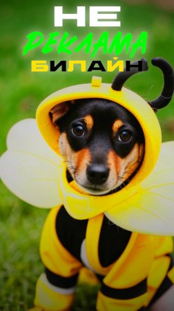 не Реклам БиЛайн 😉👍🐝😂