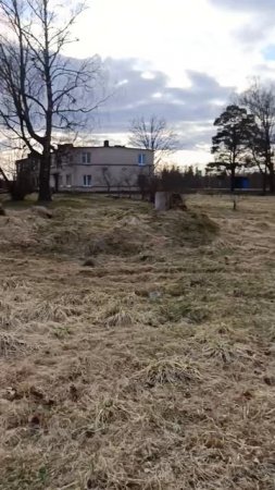 Сезонный житель деревни