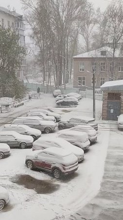 Как прекрасен Май 😅