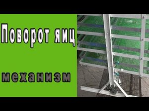 Поворот яиц в инкубаторе. Автоматический переворот яиц