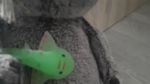 кто это?/это первое видио!