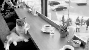 Дио Брандо мемный повелитель лестниц мира джоджо