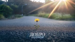 Влад Полянский – Добро (премьера альбома, 2025)