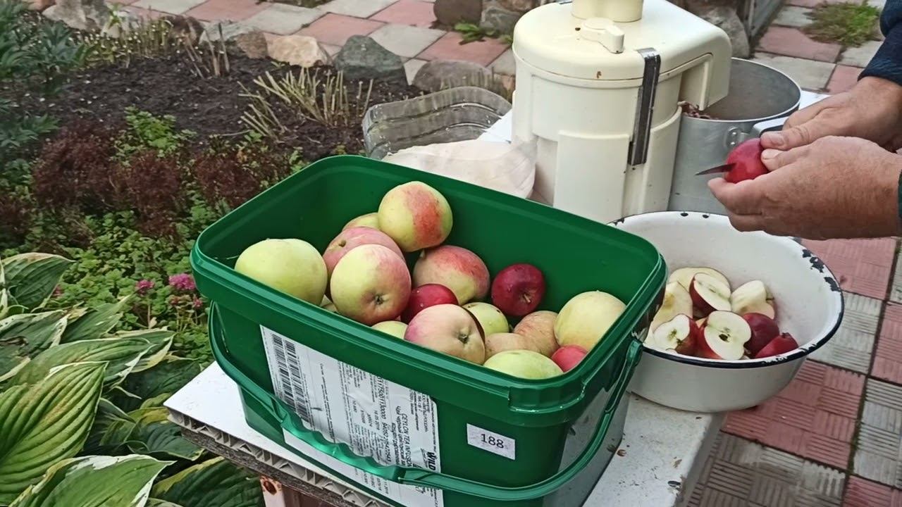 Соковыжималка времен СССР. Чем гнать сок из яблок.