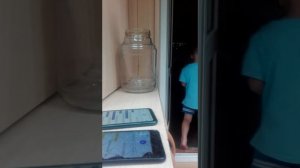 Яндекс. Алиса сошла с ума 😵😵😵