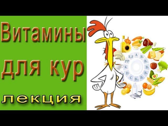 Витамины и добавки для кур.  Лекция по птицеводству