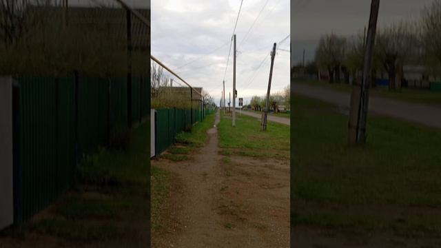 школа и сад