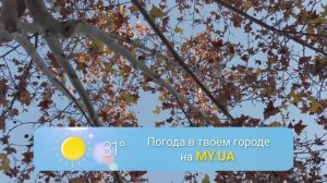 В Украину идет резкое похолодание и ночные морозы: прогноз на ближайшие дни