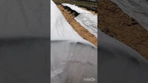 Устройство тоннеля для клубники