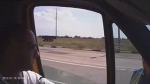 Гаи беспредел Гибдд развод Дпс нарушает.mp4