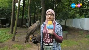 Навигатор Новости от 24 Июля 2020 года