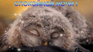 =СПОКОЙНОЙ НОЧИ !=ГИФКИ НА НОЧЬ=MUZON-82=