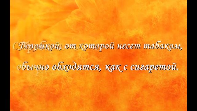Прикольные афоризмы