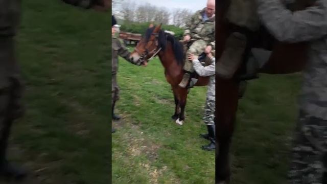 Основы верховой езды! Ставропольскае казаки🐺