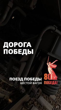 Блокада Ленинграда, осада города на Неве #shorts #победа