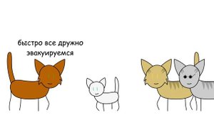 Коты-воители. Долгое эхо ~ в двух словах