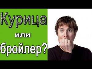 Как отличить домашнюю курицу?  Курица или бройлер?