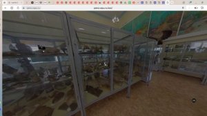 2.1.3. Виртуальная экскурсия в ЗООМУЗЕЙ ВГСПУ