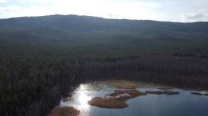 Курея часть 2