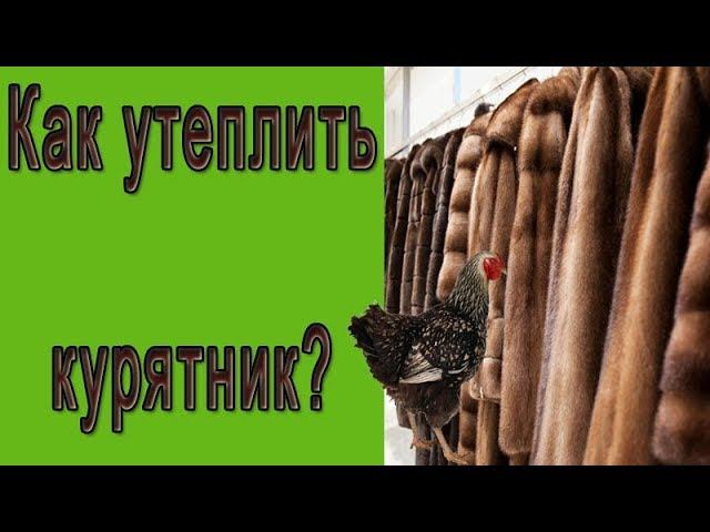 Как утеплить курятник на зиму дешево. Утепление птичника смотреть онлайн