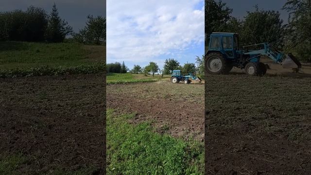 Бороним участок на мтз 82 смотреть онлайн