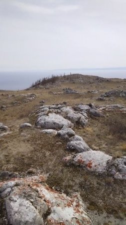 Каменные сады, Тажераны, 26 апреля 2025.