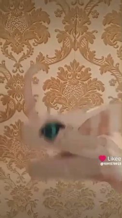 Моя др снимает в @Likee подпишитесь