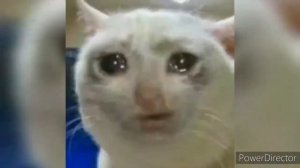 Все популярные МЕМЫ 2021 года #2 / мемы 2021