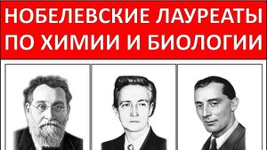Обучающий плакат "Нобелевские лауреаты по химии и биологии" (12 штук, формат 30х40 см) для школы