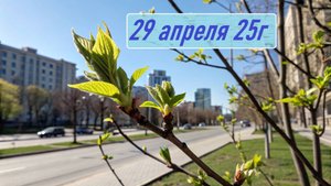 Гороскоп 29 апреля 25г. Астропрогноз. Карта дня.
