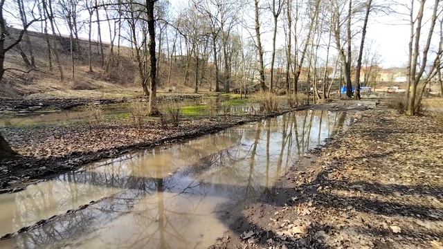 Черняховск. Что с парком (19.03.2023)