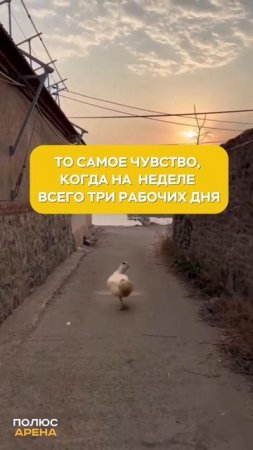 Ставь реакцию, если тоже любишь это чувство! 😄👍