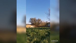 VID-20250428-WA0004.mp4