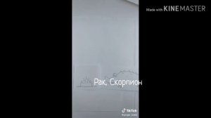 Знаки зодиака как мемы из Тик Тока