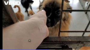 Мультфильм детям