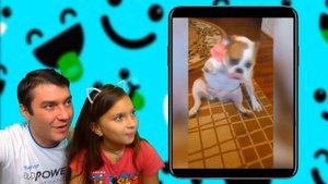 СМЕШНЫЕ КОТЫ и СОБАКИ! ЛУЧШИЙ НЕ ЗАСМЕЙСЯ ЧЕЛЛЕНДЖ Funny Cats Dogs Попробуй не засмеяться Валеришка