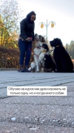Разверни описание⬇️