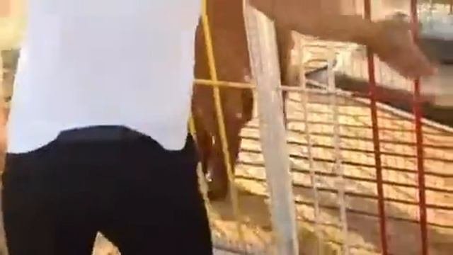 Медведь танцует лезгинку