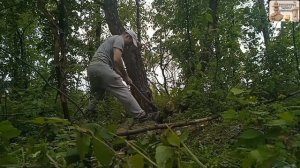 Тест армейского топора 🪓 ЗИК 1953 года, насаженного на ?