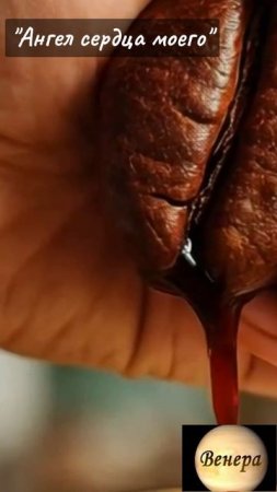 Shorts Нейро Музыка "Ангел моей души" автор слов Владимир Коряковцев#музыка#нейро#стихи