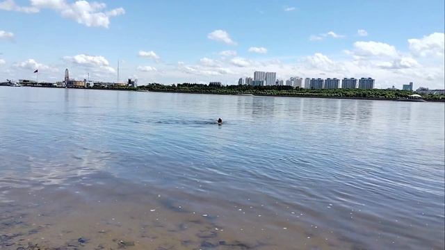Окунулся в реку Амур и чуть ноги себе не переломал 😄, Благовещенск
