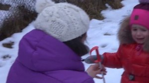 Лыжница-плакса.
